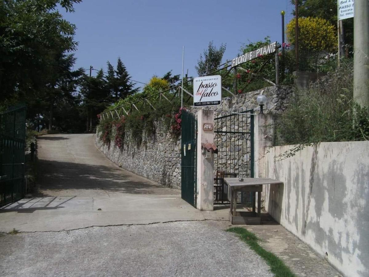 B&B Passo Del Falco Sorianello Exteriér fotografie