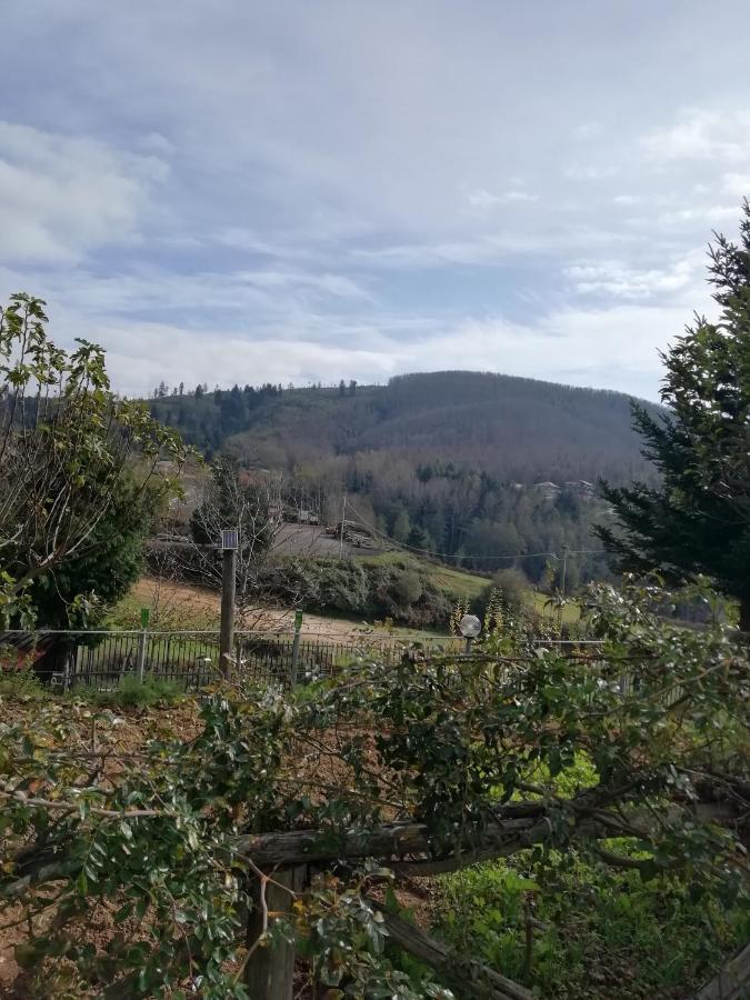 B&B Passo Del Falco Sorianello Exteriér fotografie